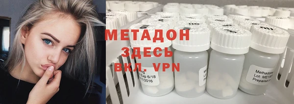 прущие грибы Арсеньев