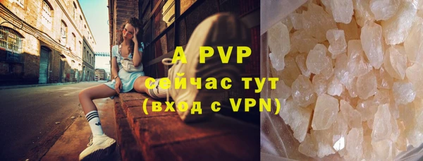 прущие грибы Арсеньев