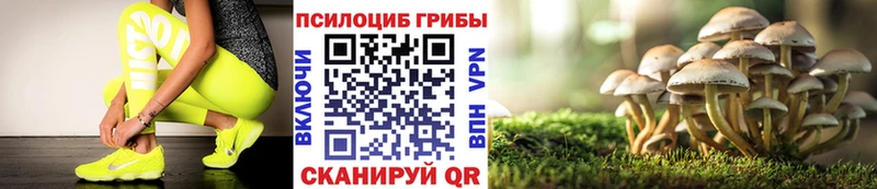 hydra онион Северо-Курильск Псилоцибиновые грибы MAGIC MUSHROOMS